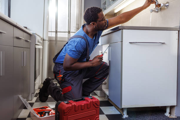 Best Sprinkler Systems  in Vienna, GA